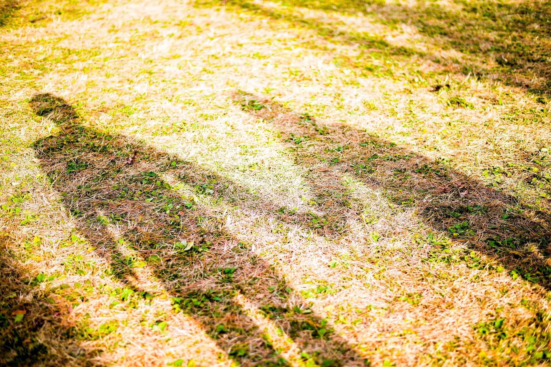 復縁占い 電話占い