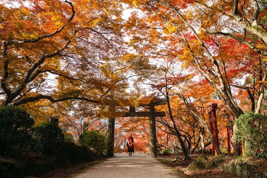 復縁　福岡　神社
