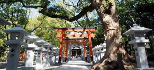 復縁　大阪　信太森葛葉稲荷神社