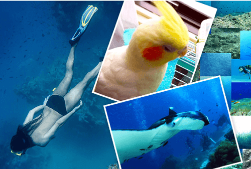 復縁占い　予見者　KAI